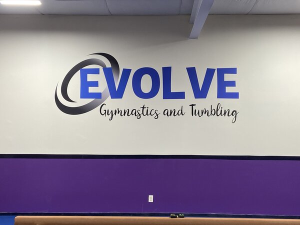 custom 3D wall murals from Quad City Custom Signs