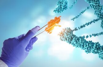 Protein A Antibody Purification