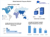 Industrial Enzymes Market Analysis to 2029 with Key Players