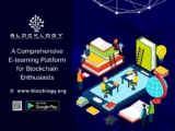 A Comprehensive E-learning Platform for Blockchain Enthusiasts