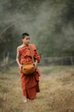Nurturing Wisdom – Exploring the Essence of Piriven Education